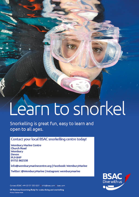 Learn to snorkel