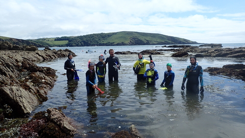 Snorkellers at Wembury