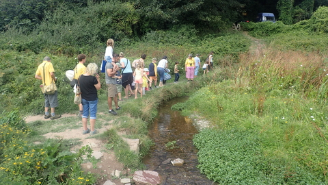 bug hunt Wembury