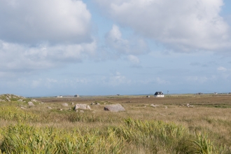 Machair