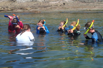 Snorkelling at Wembury