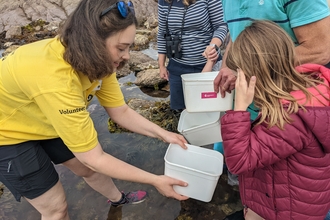 Wembury volunteer showing rockpool find