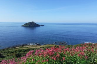 Mewstone Wembury - William Staddon