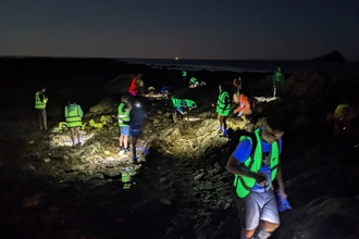night-time rockpool safari at WMC