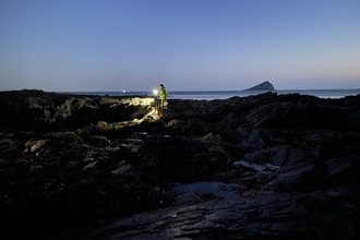 Night-time rockpool safari June 2023 Wembury