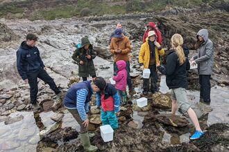 Group rockpooling at Wembury. 