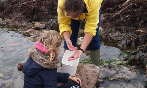 rockpooling