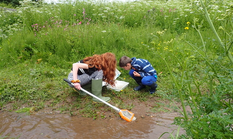 Stream dipping