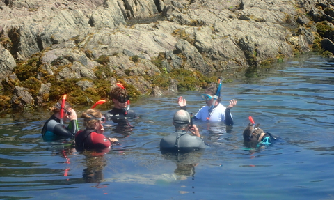 DWT Snorkel Safari