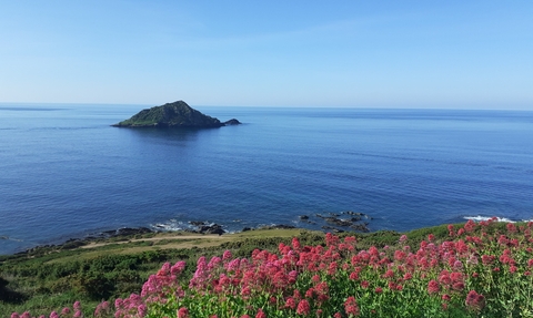 Mewstone Wembury - William Staddon