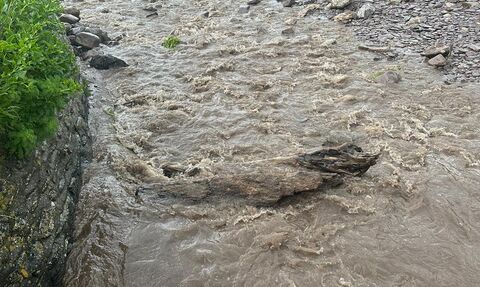 Poor water quality following heavy rain - Wembury stream