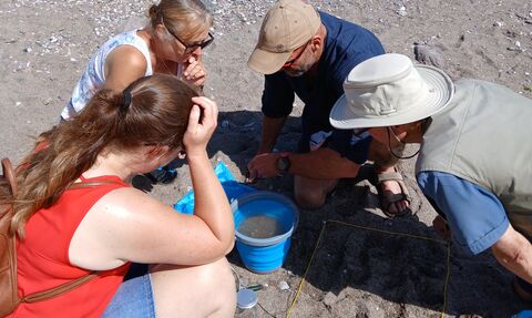 Microplastics survey with Monty Halls at Wembury Beach