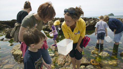 Rockpool Ramble Gill Nigel Hicks