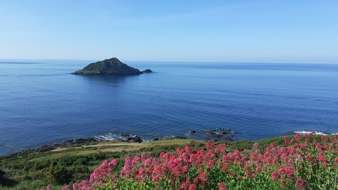 Mewstone Wembury - William Staddon