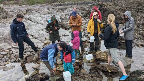 Group rockpooling at Wembury. 