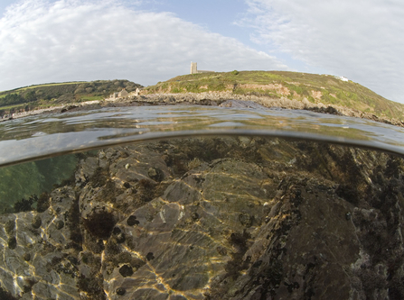 Wembury half and half