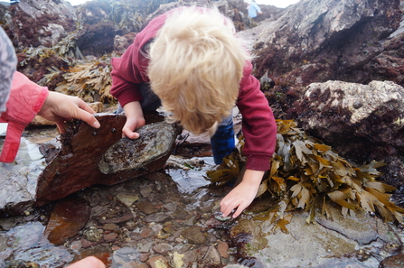 rockpooling