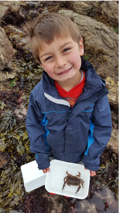 rockpooling