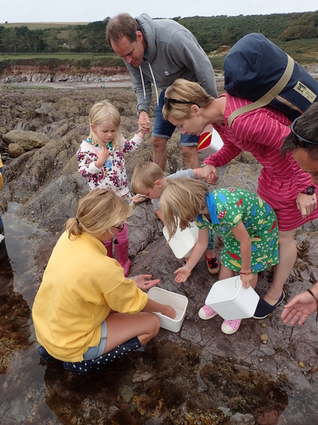 Rockpool Safari