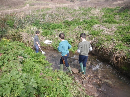 stream dipping
