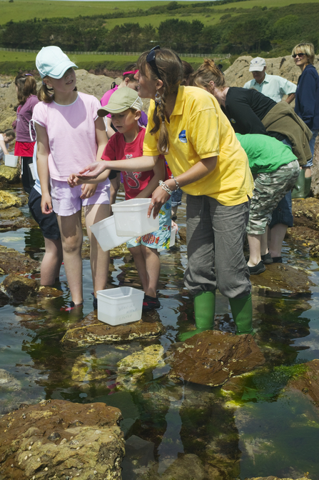 Rockpool Ramble Emily Nigel Hicks