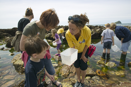 Rockpool Ramble Gill Nigel Hicks