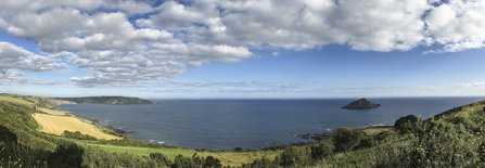Wembury Bay panorama Paul Naylor