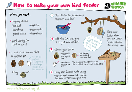 How to make a bird feeder activity sheet