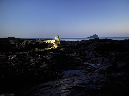 Night-time rockpool safari June 2023 Wembury