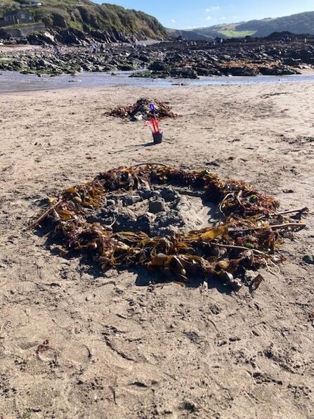 Image shows a natural coastal defence which pupils are testing out at Wembury Beach