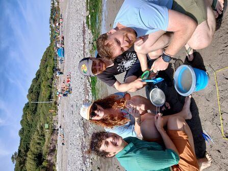 Microplastic survey BBB