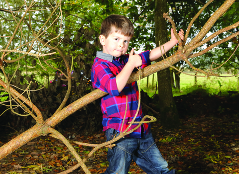 Ruaridh plays guitar on a tree branch