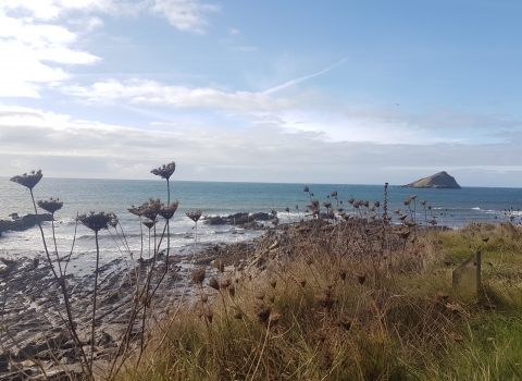 Wembury vista