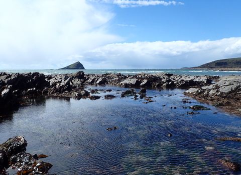 Wembury rockpool