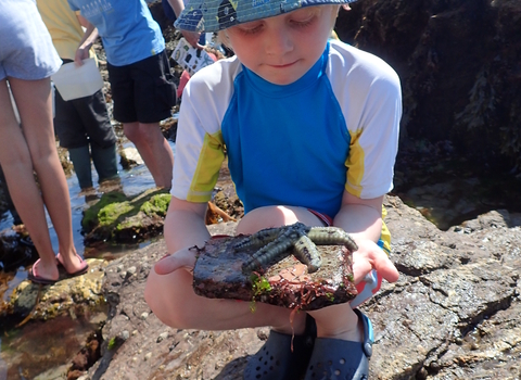 Boy with starfish at Wembury